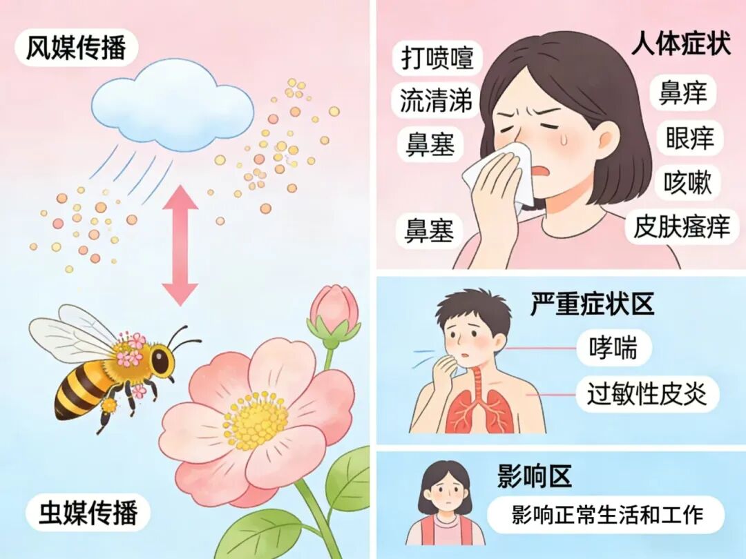 微信图片_2026-03-20_135338_677.jpg 微信图片_2026-03-20_135338_677.jpg