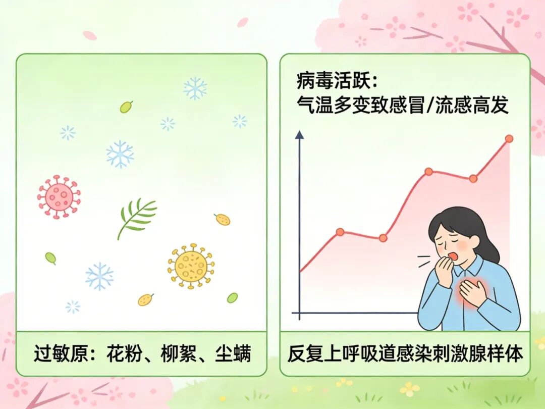 微信图片_2026-03-26_093928_358.jpg 微信图片_2026-03-26_093928_358.jpg