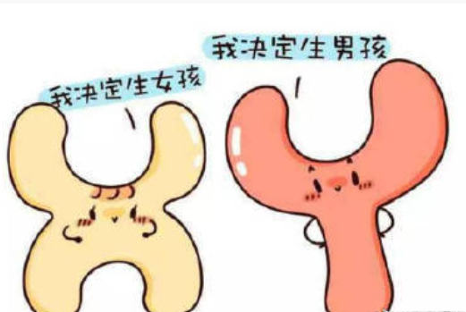 QQ浏览器截图20260331145106.png QQ浏览器截图20260331145106.png