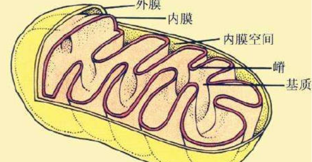 QQ浏览器截图20260402161906.png QQ浏览器截图20260402161906.png