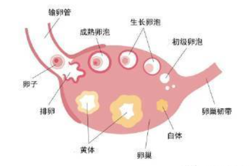 QQ20260602-141358.jpg QQ20260602-141358.jpg